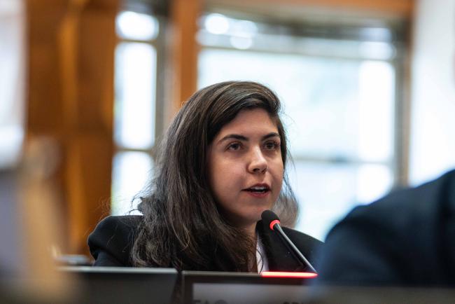 Taisa Passoni Marçal, GRULAC - ITPGRFA_OEWG13_1april2025-photo