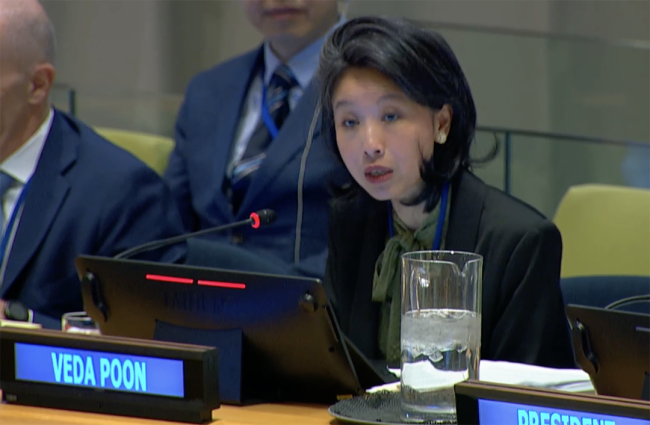 Veda Poon, IMF Liaison Committee Chair - FFD4 - 29Apr2025
