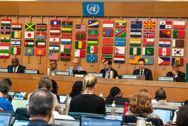 View of the dais - ITPGRFA_OEWG13_1april2025-photo