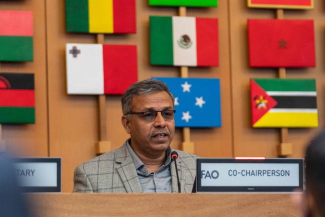 Working Group Co-Chair Sunil Archak - ITPGRFA_OEWG13_1april2025-photo