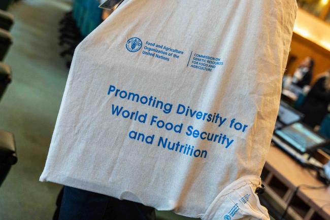 bag - ITPGRFA_OEWG13_3april2025-photo