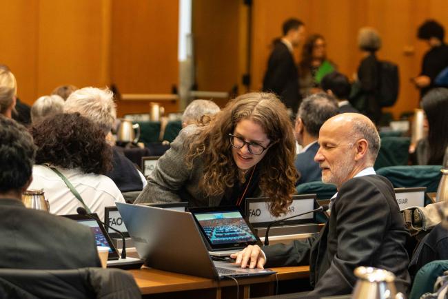 between sessions 2 - ITPGRFA_OEWG13_1april2025-photo