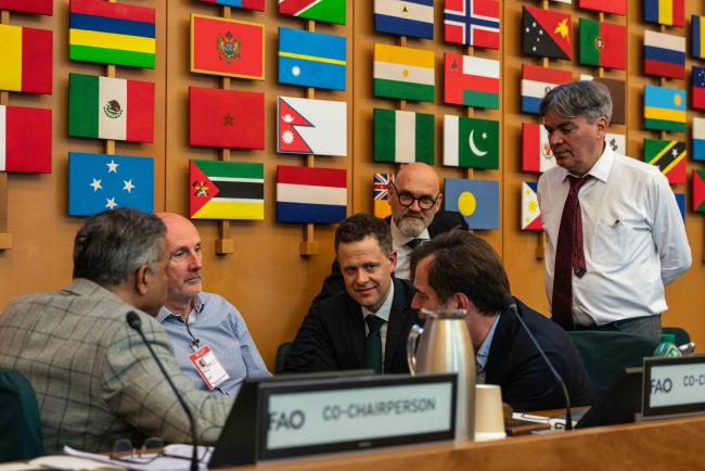 between sessions 6 - ITPGRFA_OEWG13_1april2025-photo