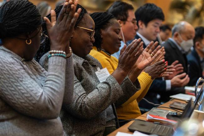 clapping - ITPGRFA_OEWG13_4april2025-photo