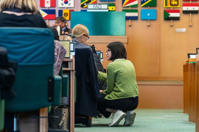 delegates from Europe conferring - ITPGRFA_OEWG13_2april2025-photo