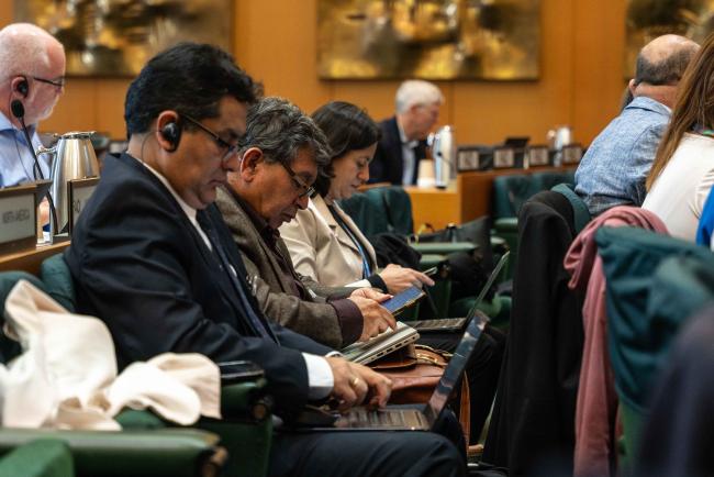 delegates working - ITPGRFA_OEWG13_1april2025-photo
