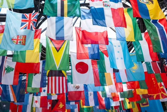 flags - ITPGRFA_OEWG13_4april2025-photo