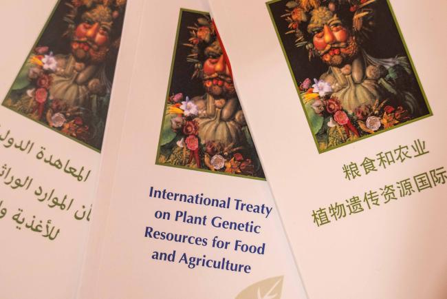 pamphlet - ITPGRFA_OEWG13_1april2025-photo