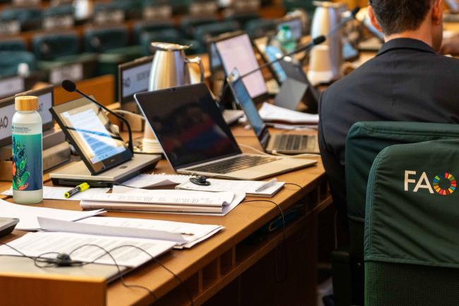 papers on the table - ITPGRFA_OEWG13_2april2025-photo
