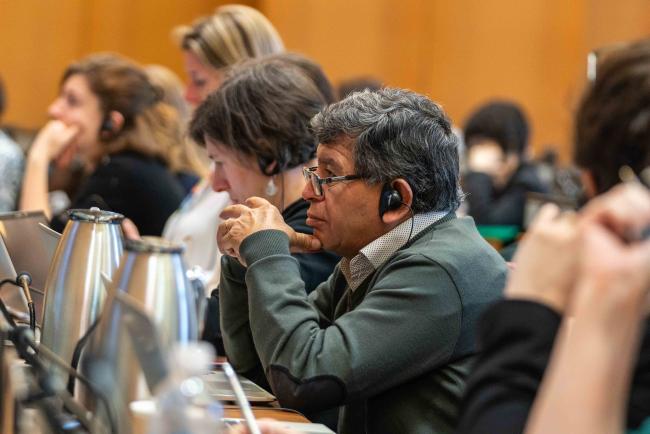 participant listening 2 - ITPGRFA_OEWG13_3april2025-photo