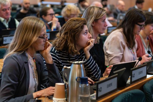 participants listening 2 - ITPGRFA_OEWG13_2april2025-photo