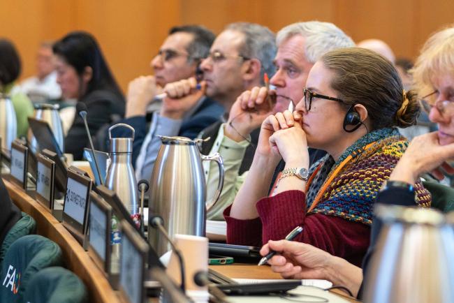 participants listening 3 - ITPGRFA_OEWG13_2april2025-photo
