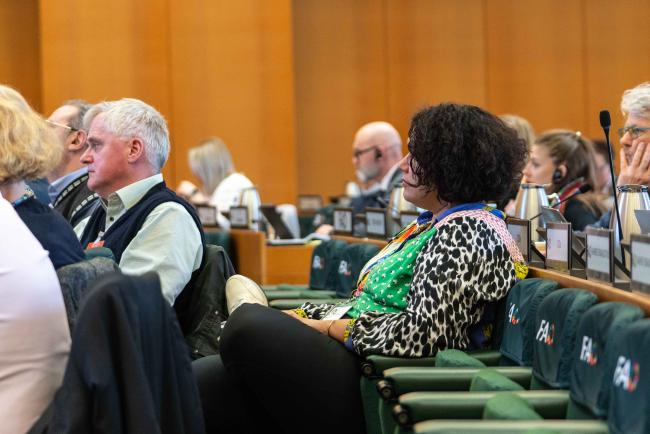 participants listening 4 - ITPGRFA_OEWG13_2april2025-photo