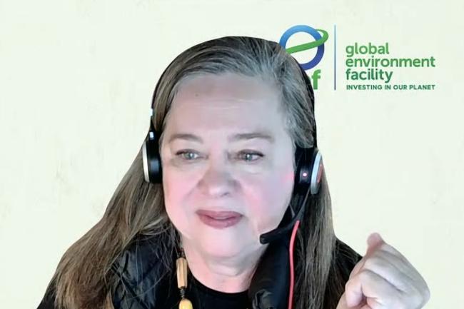 1 Adriana Moreira, Lead Specialist, GEF Partnerships Division - GFE CSO Consultations -29May2025