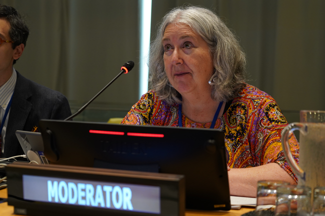 Maureen Whelan, Canada - UNFF20 - 7May2025