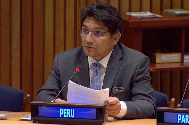 1 Peru - UNFF20 - 6May2025