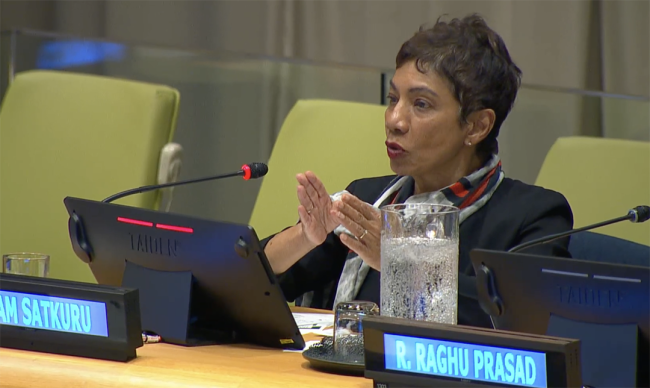 1 Sheam Satkuru, Executive Director, ITTO - UNFF20 - 6May2025