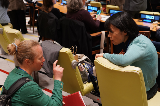 Around the Venue 2 - UNFF20 - 8May2025