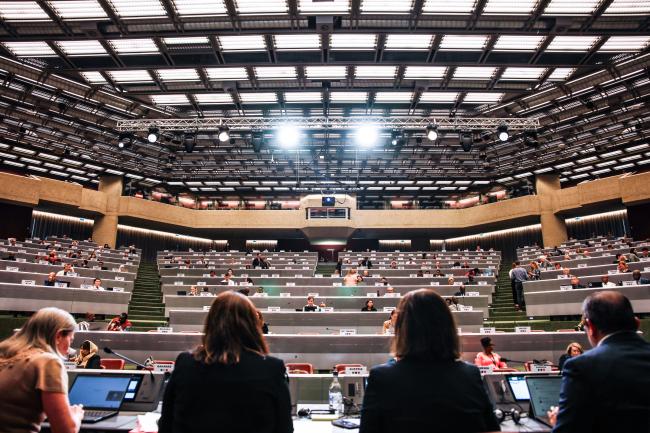 Plenary