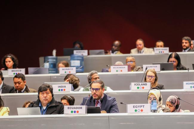 Plenary