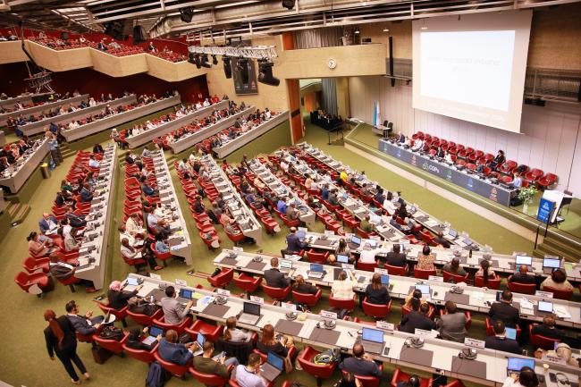 Plenary