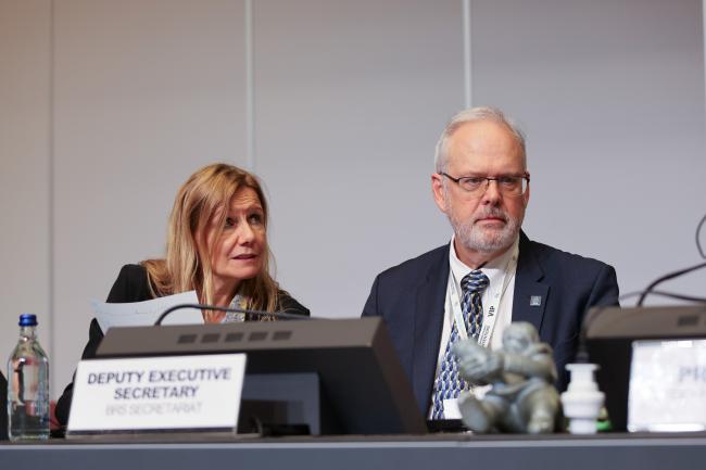 Christine Fuell, Executive Secretary ad interim, Rotterdam Convention, and David Ogden, Deputy Executive Secretary, BRS Conventions