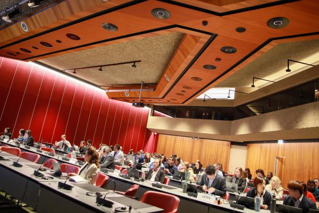 View of the room during a Contact Group on Basel Convention strategic matters