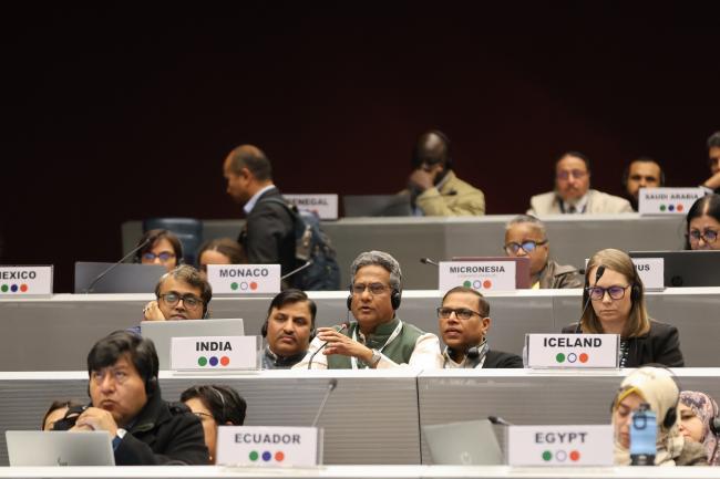 Plenary