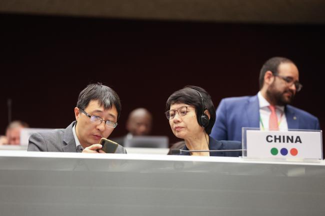 Delegates from China