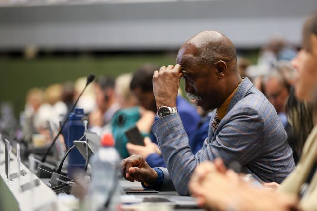 Plenary