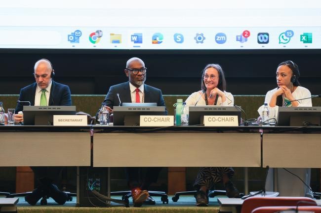 View of the dais during a Contact Group on enhancing the effectiveness of the Rotterdam Convention