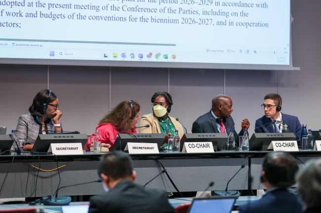 View of the dais during a Contact Group on financial resources