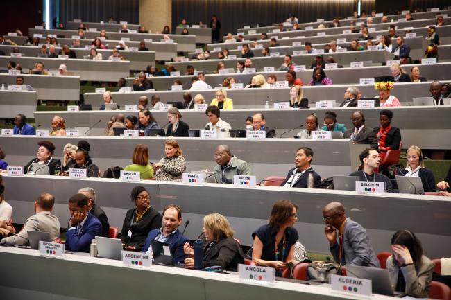 View of the morning plenary