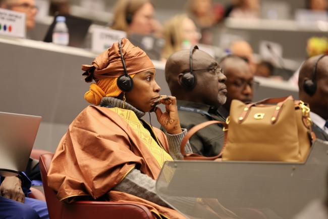 Plenary