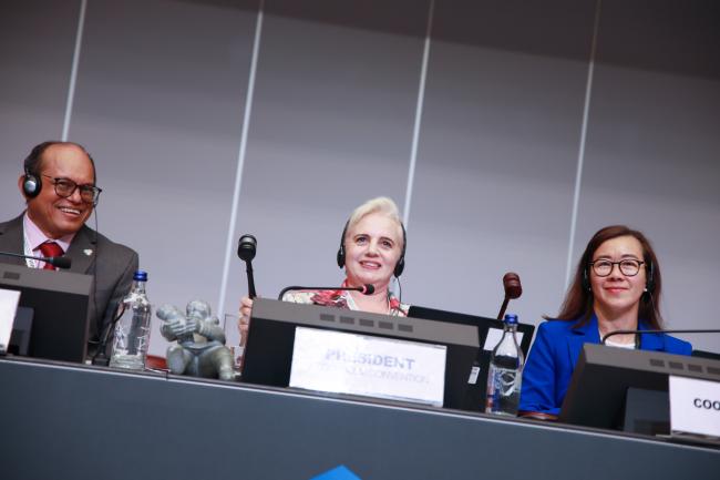 Stockholm Convention COP12 President Maya Berci simultaneously gaveling the adoption of two decisions on UV328