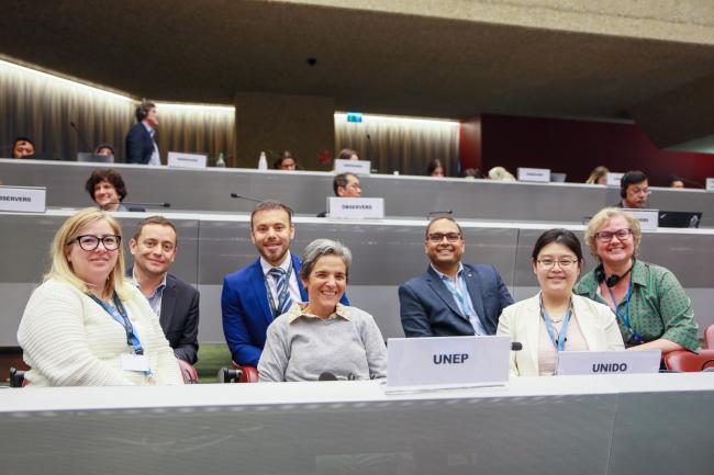 Delegates from UNEP