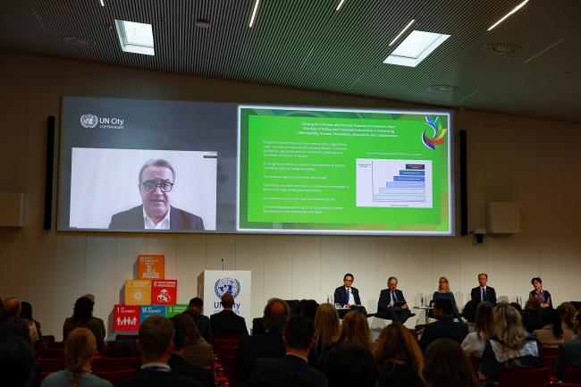 Yannick Glemarec, Director of Research, International Center for Research on Environment and Development