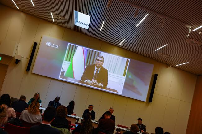 Farrukh Sattarov, Director, National Climate Change Center, Ministry of Ecology, Environmental Protection and Climate Change, Uzbekistan