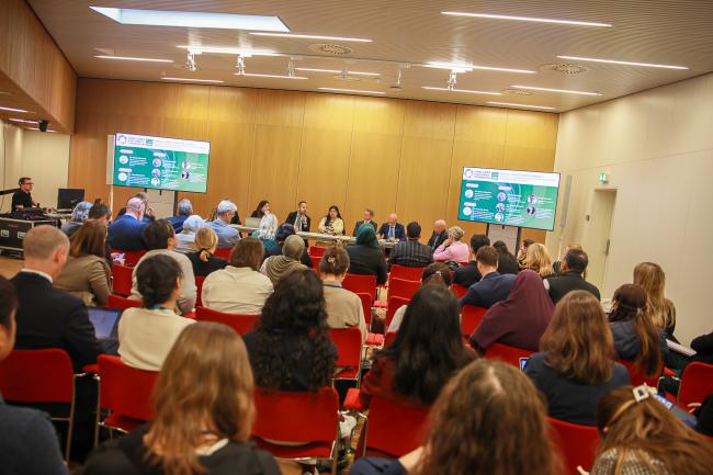 View of the room during the session - Climate-SDGs-6 - 28May2025 - Photo