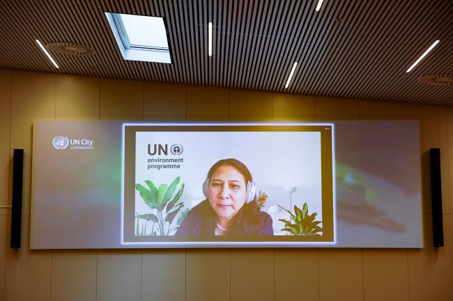 Sharon Gil, Chief Economist and Director of Inclusive Growth, UNDP