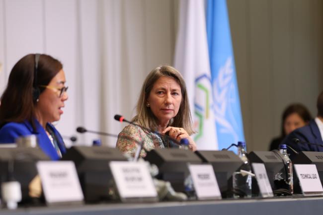Juliette Voinov Kohler, BRS Conventions Secretariat