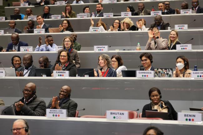 Participants celebrating the adoption of the decision on medium-chain chlorinated paraffins