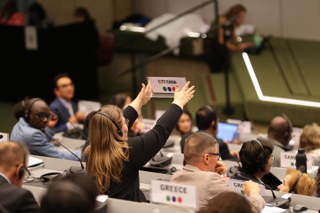 A delegate from Czechia requesting a point of order