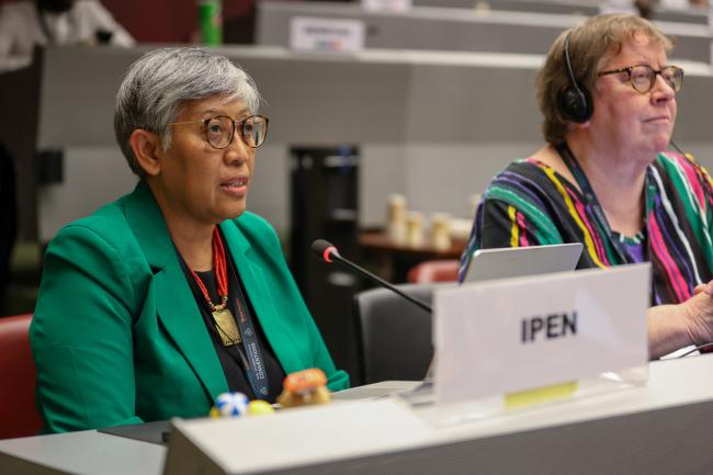 Yuyun Ismawati, International Pollutants Elimination Network