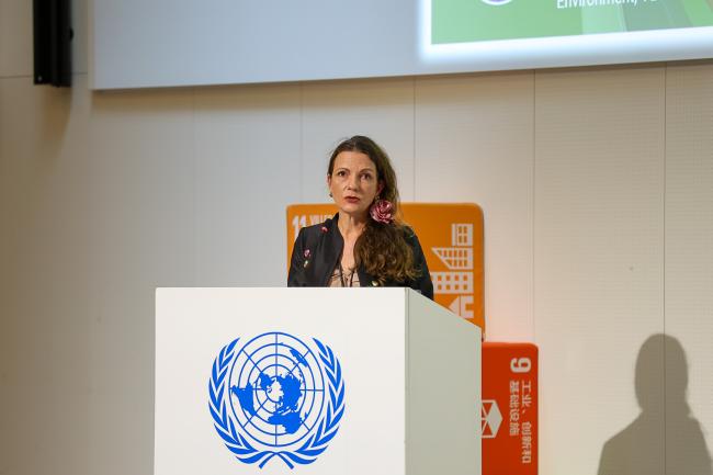 Anne Olhoff, Director ad interim, UN Environment Programme Copenhagen Climate Centre