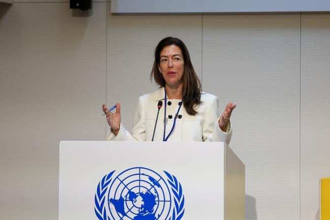 Isabel Raya, Sustainable Energy Expert, Division for Sustainable Development Goals, UN DESA