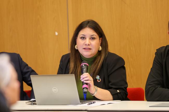Gloria Alvarenga, Director of Integration, Access and Energy Security, Latin American Energy Organization (OLADE), Quito, Ecuador