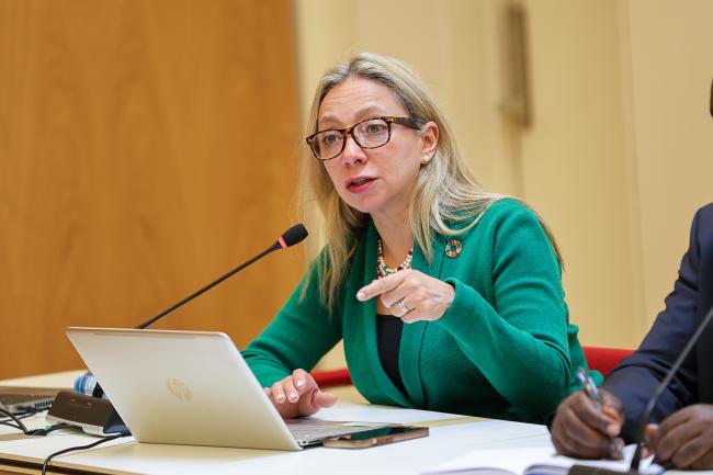 Norma Salomé Munguía Aldaraca, Director General for Global Issues, Ministry of Foreign Affairs, Mexico