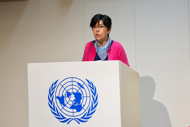 Mercedes Bustamante, Professor, University of Brasilia
