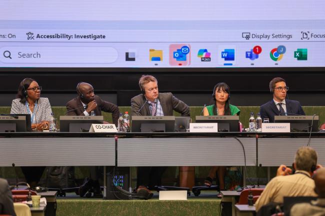 View of the dais during a Contact Group on the Stockholm Convention listing of chemicals